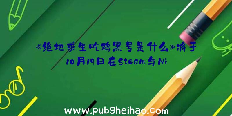 《绝地求生吃鸡黑号是什么》将于10月19日在Steam与Nintendo